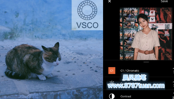 利用VSCO编辑照片的技巧