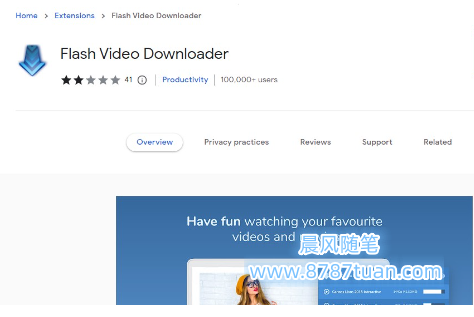 Flash Video Downloader